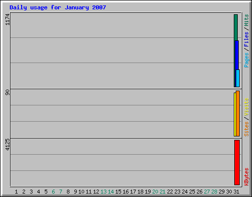 Daily usage for January 2007
